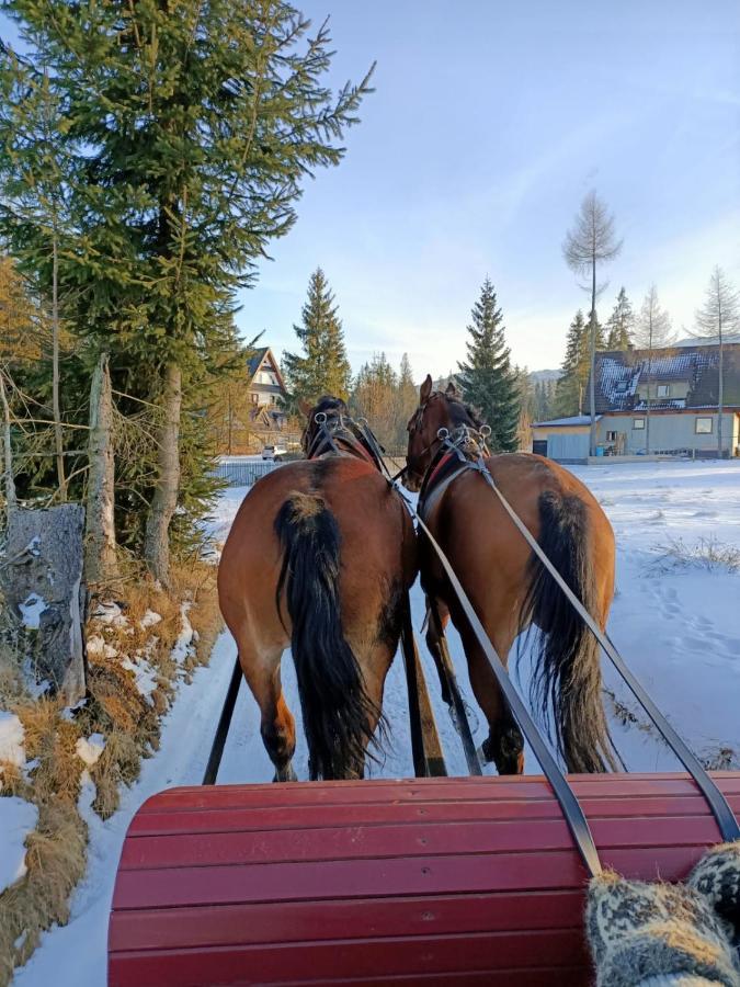 Anielki Apartament Zakopane Exteriör bild