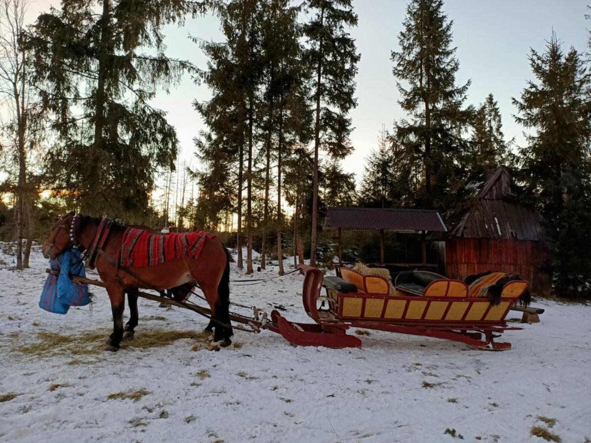Anielki Apartament Zakopane Exteriör bild